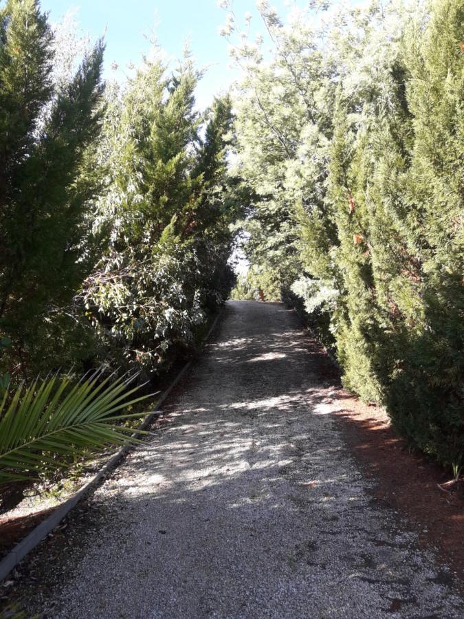 Villa Le Mirage Lège-Cap-Ferret Esterno foto